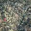 land for sale koilani limassol 826581 thumbnail 15603335
