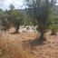 land for sale potamos germasogeias limassol 1146581 thumbnail 5509505