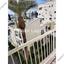 3 bedroom apartment for rent strovolos nicosia 1581681 thumbnail 5446438