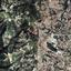 land for sale stroumbi paphos 1877681 thumbnail 15597532