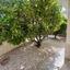 2 bedroom detached house for sale peyia paphos 8958781 thumbnail 17775221
