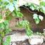 3 bedroom detached house for sale vasa kilaniou limassol 1737881 thumbnail 5692360