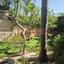 5 bedroom detached house for rent agios athanasios limassol 8892881 thumbnail 17332084