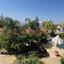 5 bedroom detached house for rent agios athanasios limassol 8892881 thumbnail 17332097