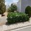 plot for sale makedonitissa nicosia 8797881 thumbnail 16706874