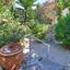 3 bedroom detached house for sale kamares tala paphos 8940981 thumbnail 17739710