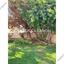 5 bedroom detached house for rent makedonitissa nicosia 1596981 thumbnail 6226334