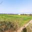 land for sale palaiometocho nicosia 8597981 thumbnail 15735682