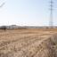 land for sale palaiometocho nicosia 8597981 thumbnail 15735690