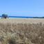 8174 SQM Land for sale in Mazotos, Larnaca thumbnail 16242911