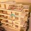2 bedroom apartment for sale paralimni famagusta 8203091 thumbnail 16016154