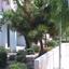 2 bedroom maisonette for sale agios tychonas limassol 979091 thumbnail 6235246