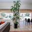 4 bedroom detached house for sale softades larnaca 7543091 thumbnail 14185136