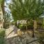 7 bedroom detached house for sale souni zanakia limassol 1148091 thumbnail 10354986