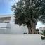 studio commercial building for rent kapsalos limassol 1927091 thumbnail 7540663
