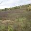 land for sale mitsero nicosia 7741191 thumbnail 10242652