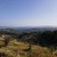 land for sale psathi paphos 8532191 thumbnail 16306668
