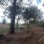 plot for sale pano platres limassol 8936191 thumbnail 17832913