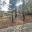 plot for sale pano platres limassol 8936191 thumbnail 17832914