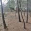 plot for sale pano platres limassol 8936191 thumbnail 17832917