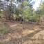 plot for sale pano platres limassol 8936191 thumbnail 17832919