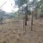 plot for sale pano platres limassol 8936191 thumbnail 17832920