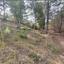 plot for sale pano platres limassol 8936191 thumbnail 17832921
