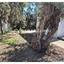 2 bedroom detached house for sale psevdas larnaca 8376291 thumbnail 17001492
