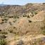 land for sale ora larnaca 1336291 thumbnail 10737877