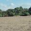 land for sale poli chrysochous paphos 8395291 thumbnail 14818298