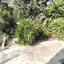 3 bedroom detached house for sale tsada paphos 8395391 thumbnail 17576952
