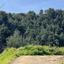 land for sale palaichori morfou nicosia 8140391 thumbnail 13393266