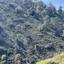 land for sale palaichori morfou nicosia 8140391 thumbnail 13393270