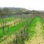 land for sale pano arodes paphos 8959391 thumbnail 17781158