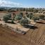 land for sale pera orinis nicosia 946391 thumbnail 7318789