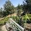 2 bedroom detached house for sale lythrodontas nicosia 1525491 thumbnail 5198937