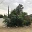2 bedroom detached house for sale lythrodontas nicosia 1525491 thumbnail 5198941