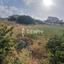 land for sale konia paphos 7812491 thumbnail 10640318