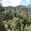 land for sale sina oros nicosia 1158491 thumbnail 15602107