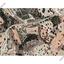 plot for sale skarinou larnaca 1676491 thumbnail 5365970