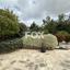 3 bedroom bungalow for sale chlorakas paphos 8675591 thumbnail 16058422