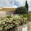 3 bedroom bungalow for sale chlorakas paphos 8675591 thumbnail 16058451