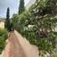 3 bedroom bungalow for sale chlorakas paphos 8675591 thumbnail 16058457
