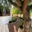 5 bedroom detached house for sale aradippou larnaca 1526591 thumbnail 13534045