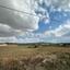 3287 SQM Plot for sale in Dali, Nicosia thumbnail 16748320