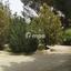 4 bedroom detached house for sale klirou nicosia 1728691 thumbnail 5524384