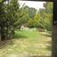 4 bedroom detached house for sale klirou nicosia 1728691 thumbnail 5524388