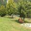 4 bedroom detached house for sale klirou nicosia 1728691 thumbnail 5524405