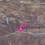 land for sale kelokedara paphos 8629691 thumbnail 15869557