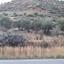 land for sale ora larnaca 830691 thumbnail 16545371